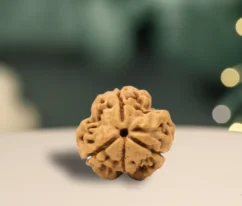 3mukhi